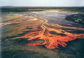 Results of Copper Mining is Acid Mine Drainage